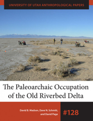 Книга Paleoarchaic Occupation of the Old River Bed Delta David Page