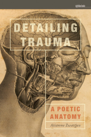 Buch Detailing Trauma Arianne Zwartjes