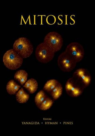 Buch Mitosis 