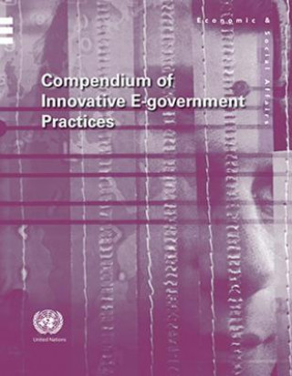 Buch Compendium of innovative e-government practices United Nations: Department of Economic and Social Affairs