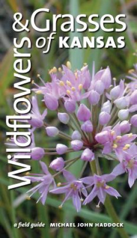 Carte Wildflowers and Grasses of Kansas Michael John Haddock
