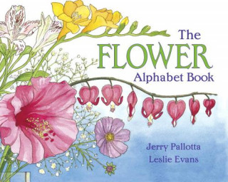 Livre FLOWER ALPHABET BOOK PALLOTTA  JERRY