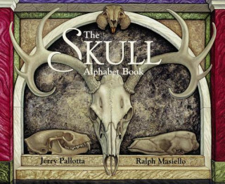 Kniha Skull Alphabet Book Jerry Pallotta