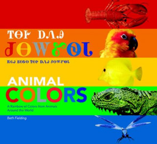 Buch Animal Colors (Cherokee/English Bilingual) Beth Fielding