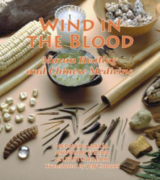 Kniha Wind in the Blood Hilberto Balan