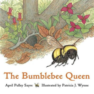 Könyv Bumblebee Queen April Pulley Sayre