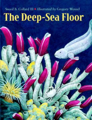 Kniha Deep-Sea Floor Collard
