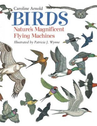 Könyv Birds Caroline Arnold