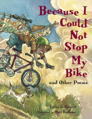 Kniha Because I Could Not Stop My Bike Matt Faulkner