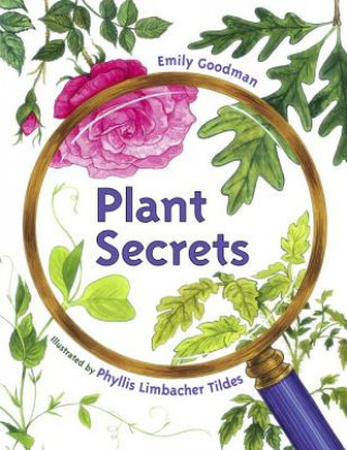 Kniha Plant Secrets Phyllis Limbacher Tildes