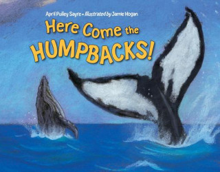 Könyv Here Come the Humpbacks! April Pulley Sayre