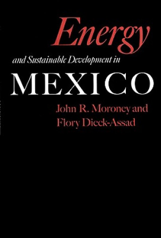 Kniha Energy and Sustainable Development in Mexico Flory Dieck-Assad