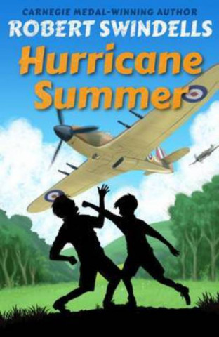Книга Hurricane Summer Robert Swindells