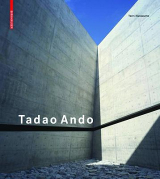Kniha Tadao Ando Yann Nussaume