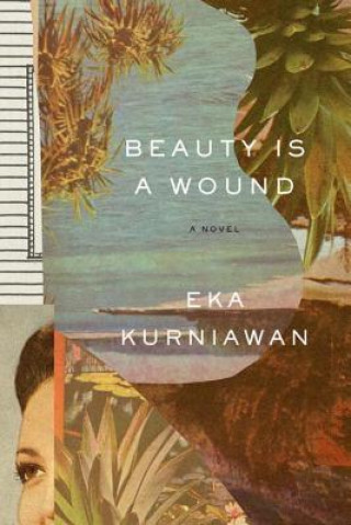 Книга Beauty Is a Wound Annie Tucker