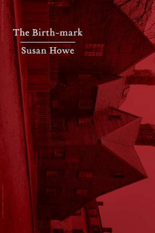 Könyv Birth-mark Susan Howe