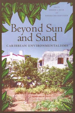 Libro Beyond Sun and Sand 