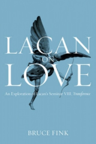 Kniha Lacan on Love Bruce Fink