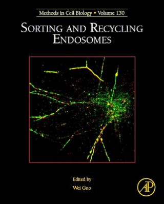 Knjiga Sorting and Recycling Endosomes Wei Guo