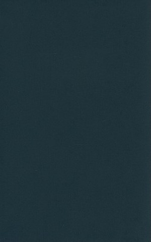 Книга Disability Theory Tobin Siebers