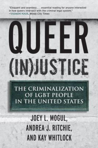 Könyv Queer (In)Justice Andrea J. Ritchie