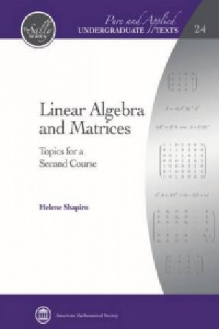 Buch Linear Algebra and Matrices Helene Shapiro