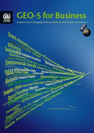 Książka GEO-5 for business United Nations Environment Programme
