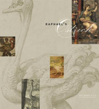 Buch Raphael's Ostrich Una Roman D'Elia