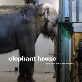 Kniha Elephant House Nigel Rothfels