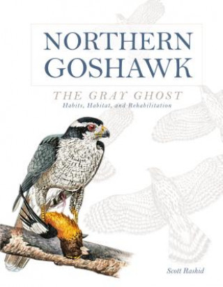 Książka Northern Goshawk, the Gray Ghost: Habits, Habitat, and Rehabilitation Scott Rashid