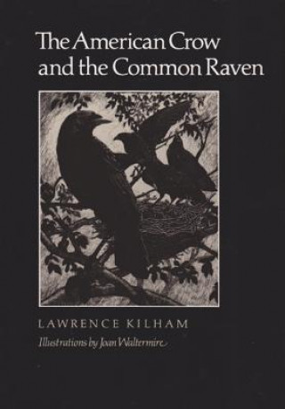 Könyv American Crow & Common Raven Kilham