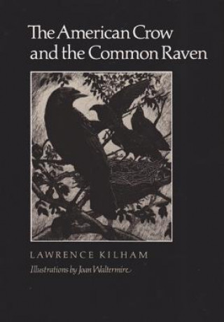 Книга American Crow & Common Raven Kilham