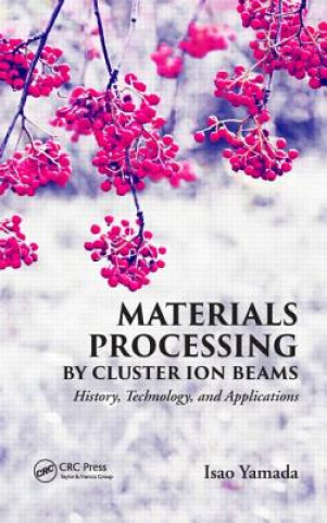 Kniha Materials Processing by Cluster Ion Beams Isao Yamada