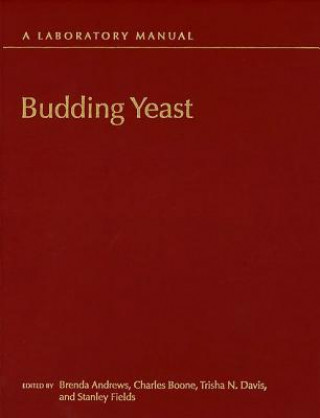 Książka Budding Yeast 