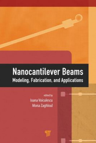 Buch Nanocantilever Beams 