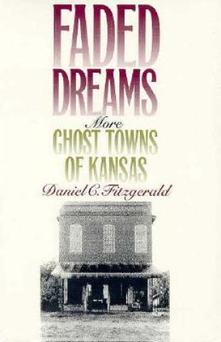 Buch Faded Dreams Daniel Fitzgerald