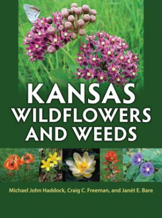 Książka Kansas Wildflowers and Weeds Janet E. Bare