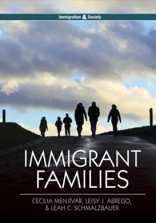 Könyv Immigrant Families Leisy J. Abrego