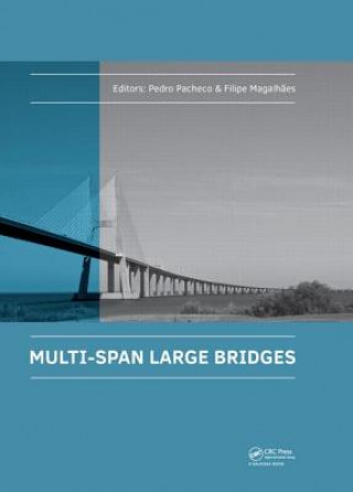 Knjiga Multi-Span Large Bridges 
