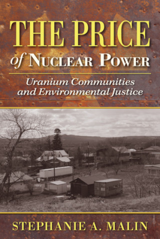 Kniha Price of Nuclear Power Stephanie A Malin