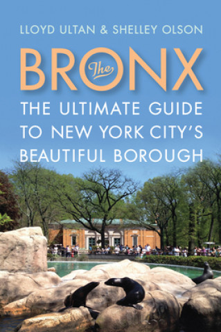 Książka Bronx Shelley Olson