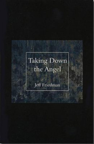 Kniha Taking Down the Angel Jeff Friedman