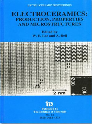 Könyv Electroceramics - Production, properties and microstructures 