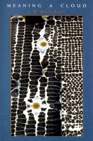 Book Meaning a Cloud J W Marshall