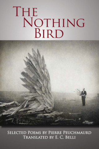 Könyv Nothing Bird Mary Ann Samyn