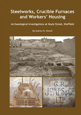 Kniha Steelworks, Crucible Furnaces and Workers' Housing Andrew B. Powell