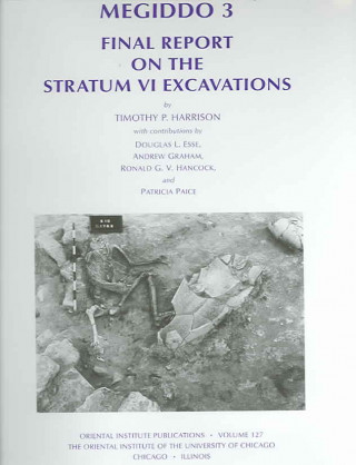 Boek Megiddo 3 Timothy Harrison