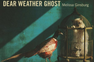 Carte Dear Weather Ghost Melissa Ginsburg
