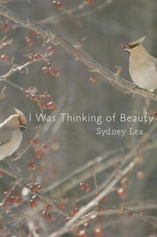 Kniha I Was Thinking of Beauty Sydney Lea