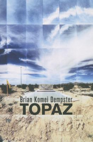 Buch Topaz Brian Komei Dempster